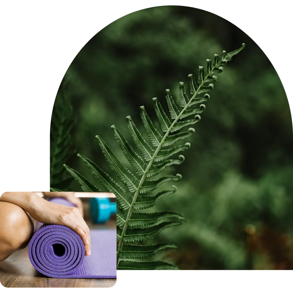Fern leaf and rolled yoga mat, reflecting the calm, nature-inspired approach at Exhale TRE